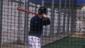 Batting Cage HDPE Nets