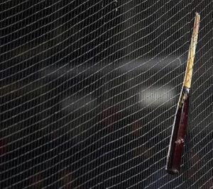 Broken Bat in net